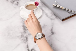 正品michel herbelinnewport 紐波特1658 89go女士機(jī)械手表怎么樣