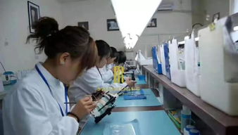 鉑爾汀 走進(jìn)源頭 鉑爾汀牙齒貼面工廠,見證美的誕生