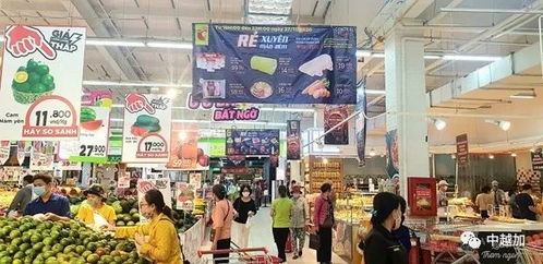 2020年越南商品零售和服務業收入約達5000萬億盾