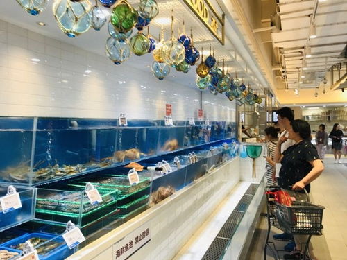 完成數千萬美元a輪融資生鮮超市t11要做零售界產品公司