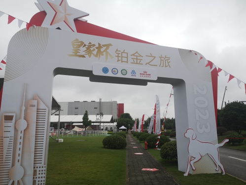 華財經(jīng) 寵觀察 皇家深耕 毛孩 繁育市場