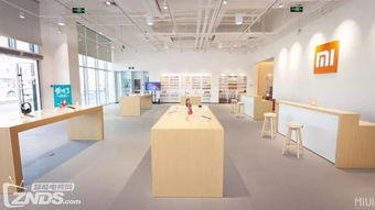 小米生態鏈掌門人劉德 以大眾產品思維重塑小眾珠寶首飾零售